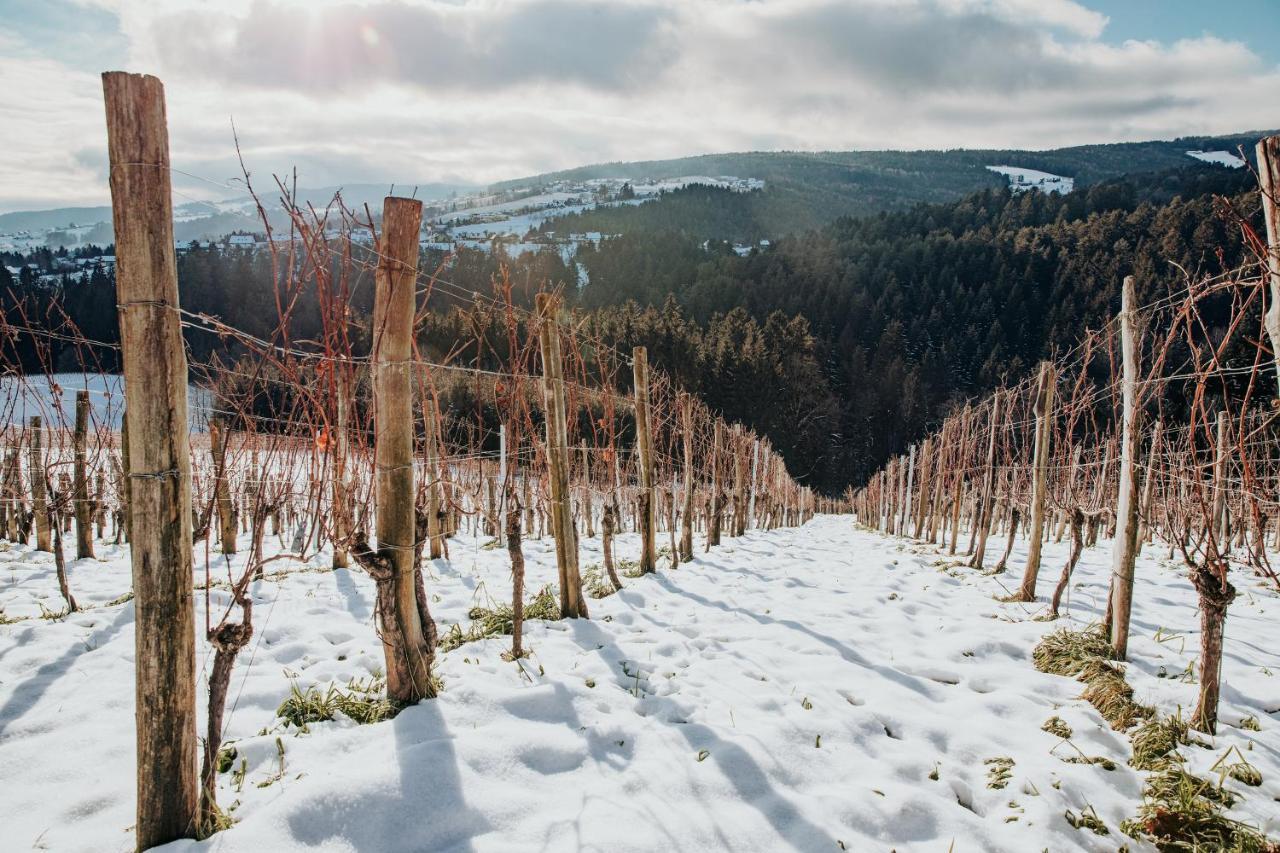Weinstoeckl Hochgrail Pures Sein Vila Sankt Stefan ob Stainz Exterior foto