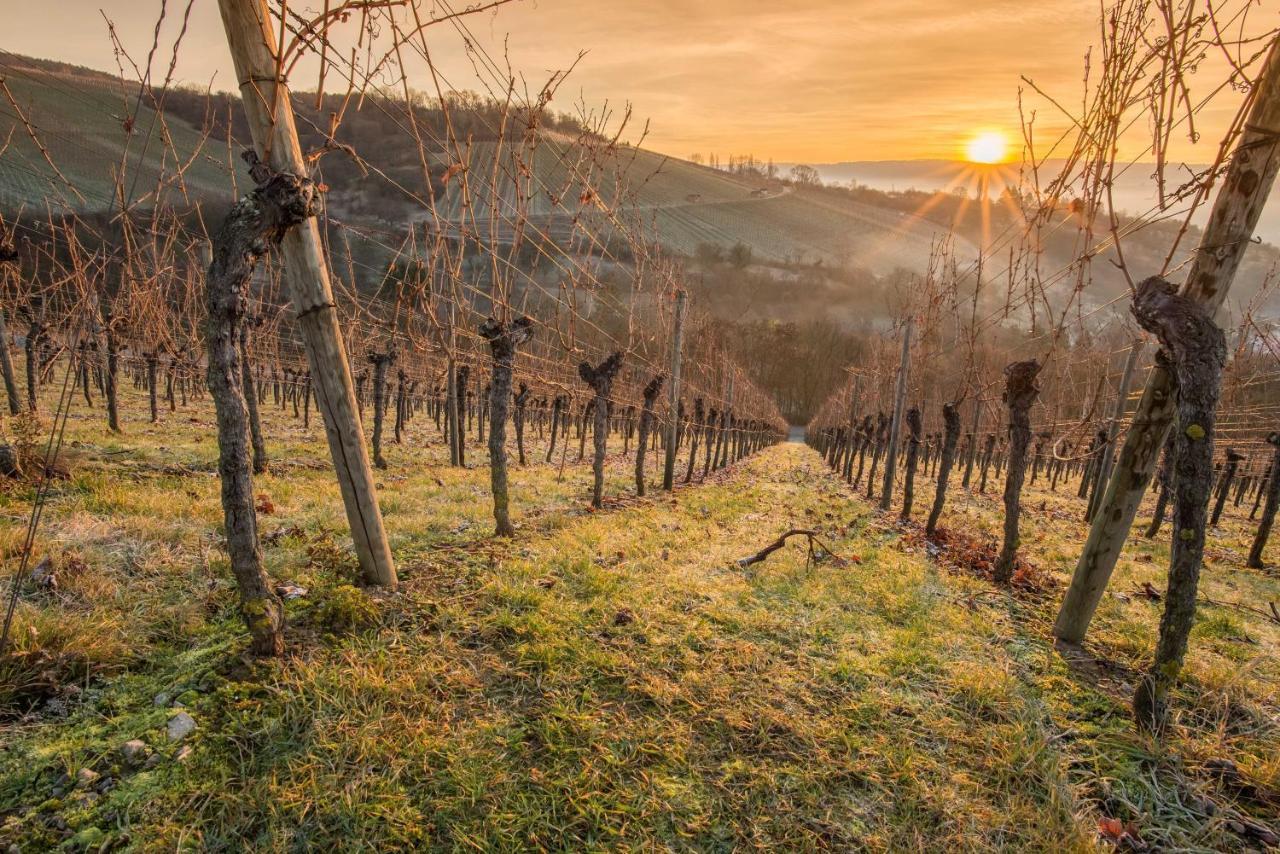 Weinstoeckl Hochgrail Pures Sein Vila Sankt Stefan ob Stainz Exterior foto